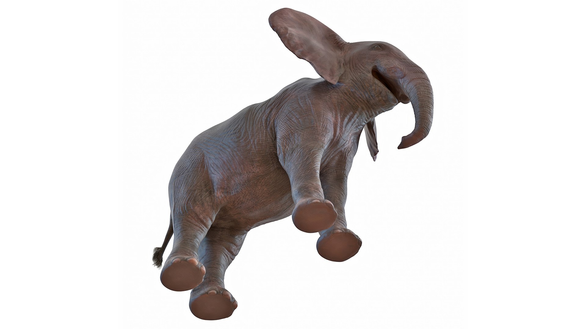 Baby Elephant Rigged for Cinema 4D 3D model https://p.turbosquid.com/ts-thumb/wX/DeAfTV/it/baby_elephant_rigged_017/jpg/1737953980/1920x1080/fit_q87/4a77ea7b8d35b6ede8a09cf2870d2bbe33991b05/baby_elephant_rigged_017.jpg