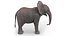 Baby Elephant Rigged for Cinema 4D