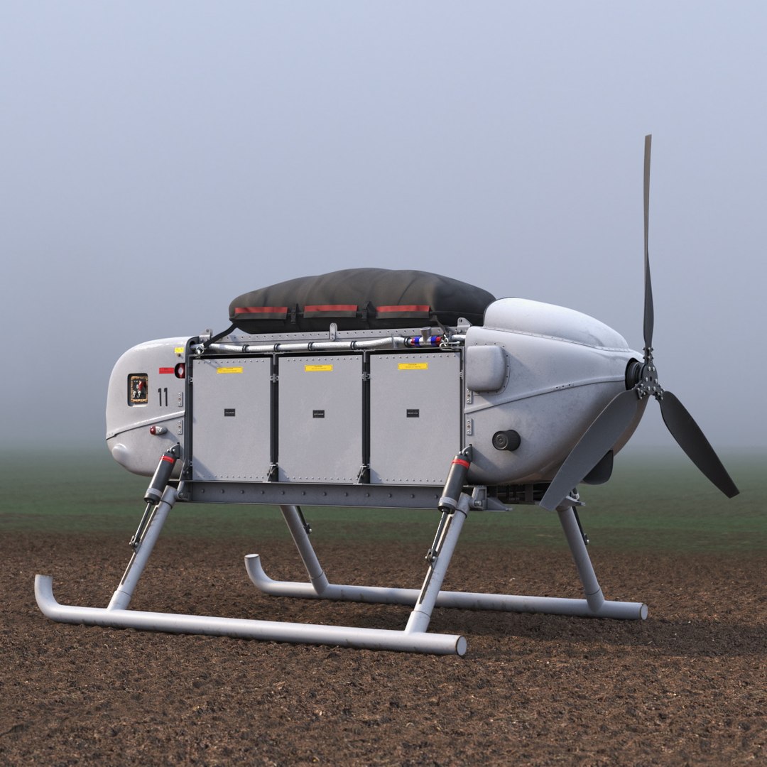 Snowgoose UAV MMIST CQ-10 Rigged 3D model preview