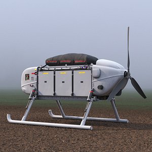 Snowgoose UAV MMIST CQ-10 Rigged 3D model