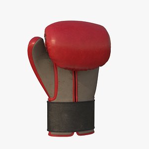 Boxing Glove
