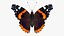 Colección de mariposas 3