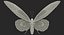 Colección de mariposas 3