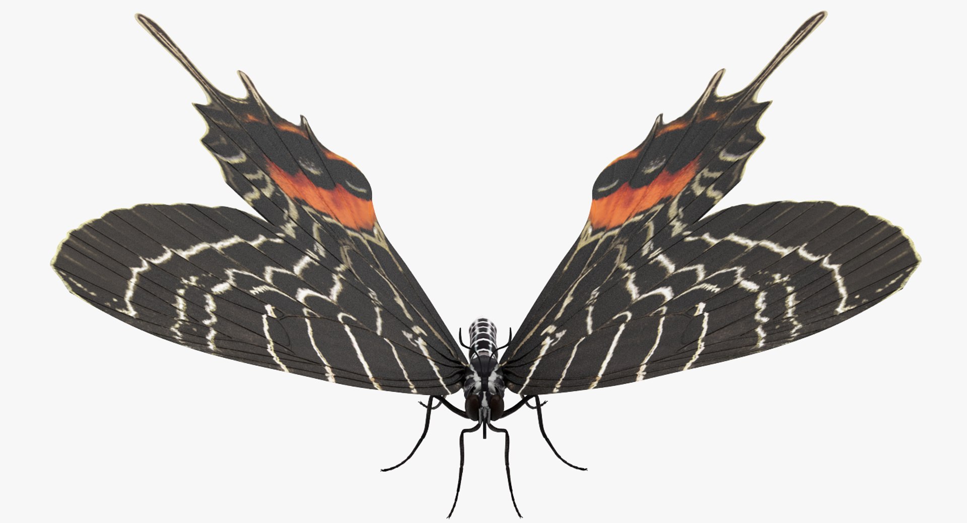 3D Butterflies Collection 3 https://p.turbosquid.com/ts-thumb/wX/hnDk28/D0/butterfliescollection3mb3dmodel019/jpg/1628247332/1920x1080/fit_q87/15678f434167e8f8d0b30036aaa7be86c05c7c28/butterfliescollection3mb3dmodel019.jpg