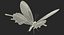 Colección de mariposas 3