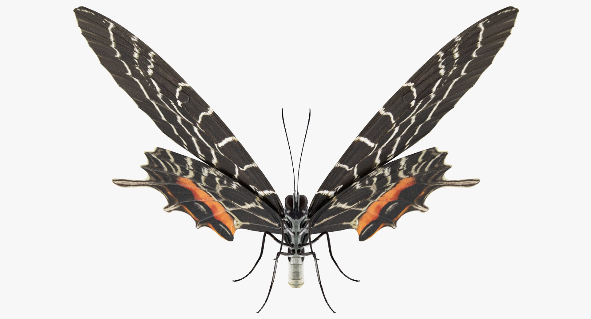 3D Butterflies Collection 3 https://p.turbosquid.com/ts-thumb/wX/hnDk28/TE/butterfliescollection3mb3dmodel022/jpg/1628247338/1920x1080/fit_q87/64288cfd97b1869469ab58977125bca22c982f1c/butterfliescollection3mb3dmodel022.jpg