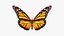 Colección de mariposas 3