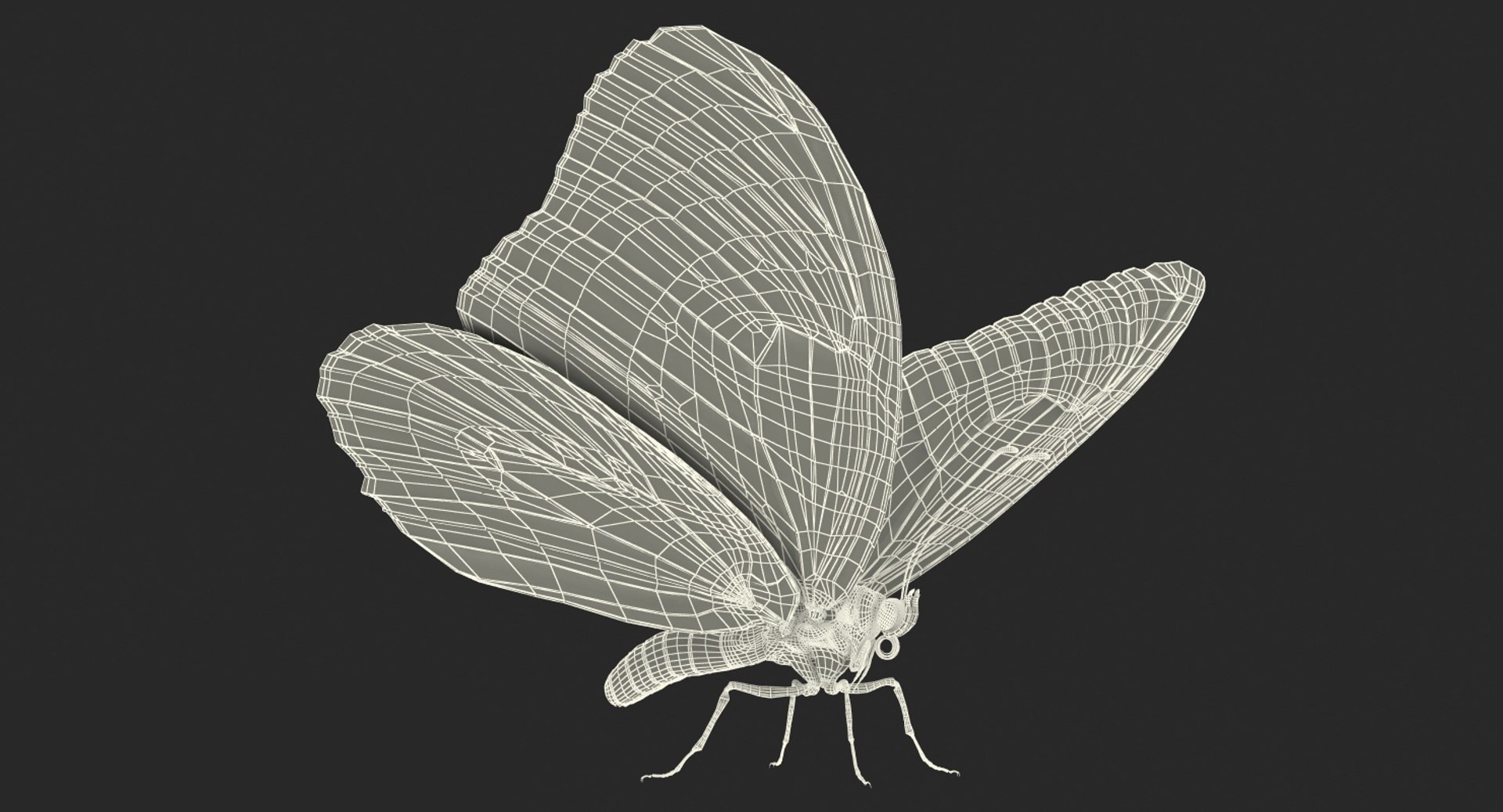 3D Butterflies Collection 3 https://p.turbosquid.com/ts-thumb/wX/hnDk28/ib/butterfliescollection3mb3dmodel034/jpg/1628247364/1920x1080/fit_q87/9be2d53b8079e207db3ab1daaeb1aedd4c2e95ce/butterfliescollection3mb3dmodel034.jpg
