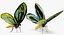 Colección de mariposas 3