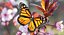 Colección de mariposas 3