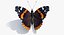 Colección de mariposas 3