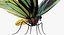 Colección de mariposas 3
