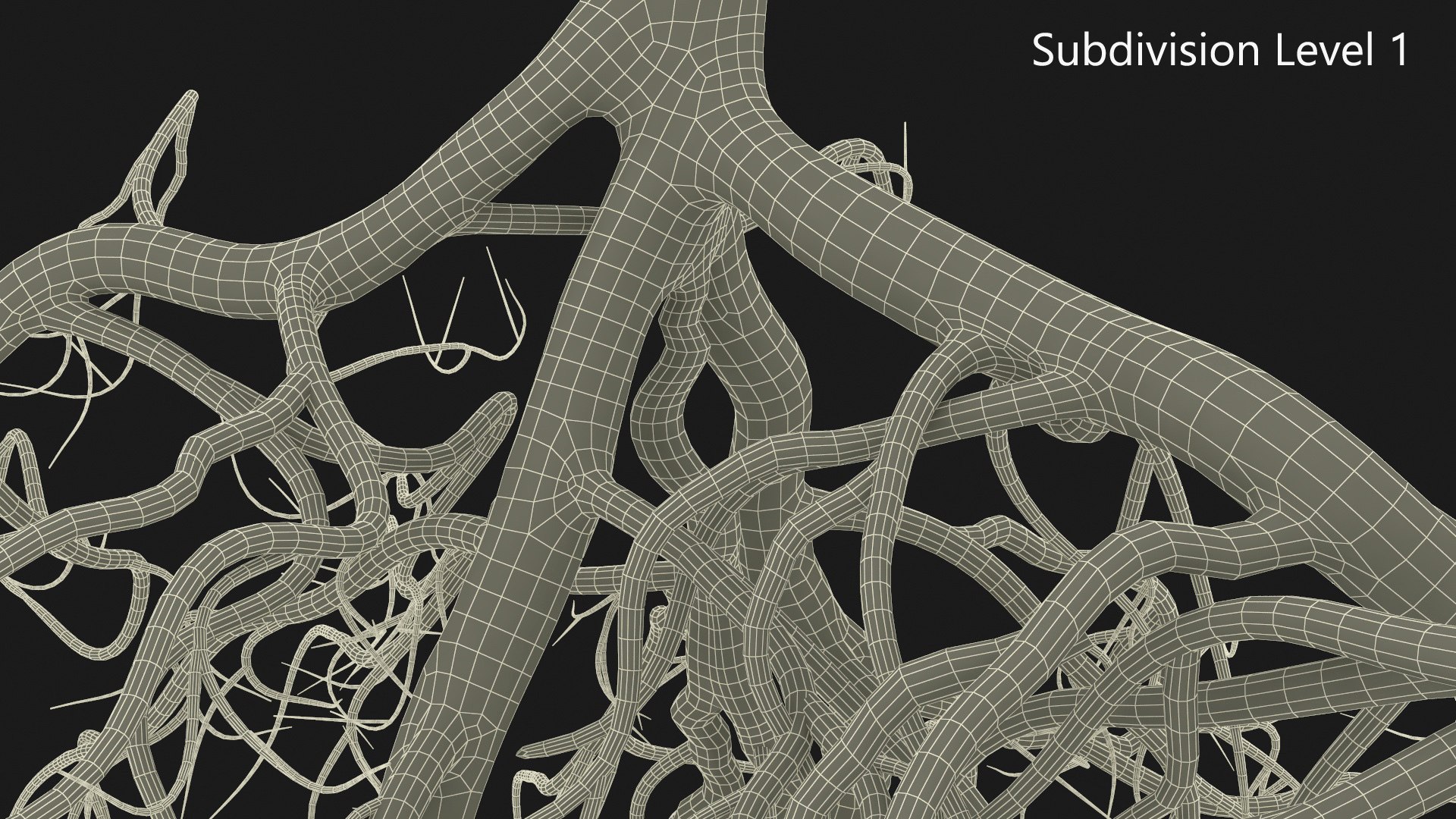 Tree Roots 3D - TurboSquid 2315121