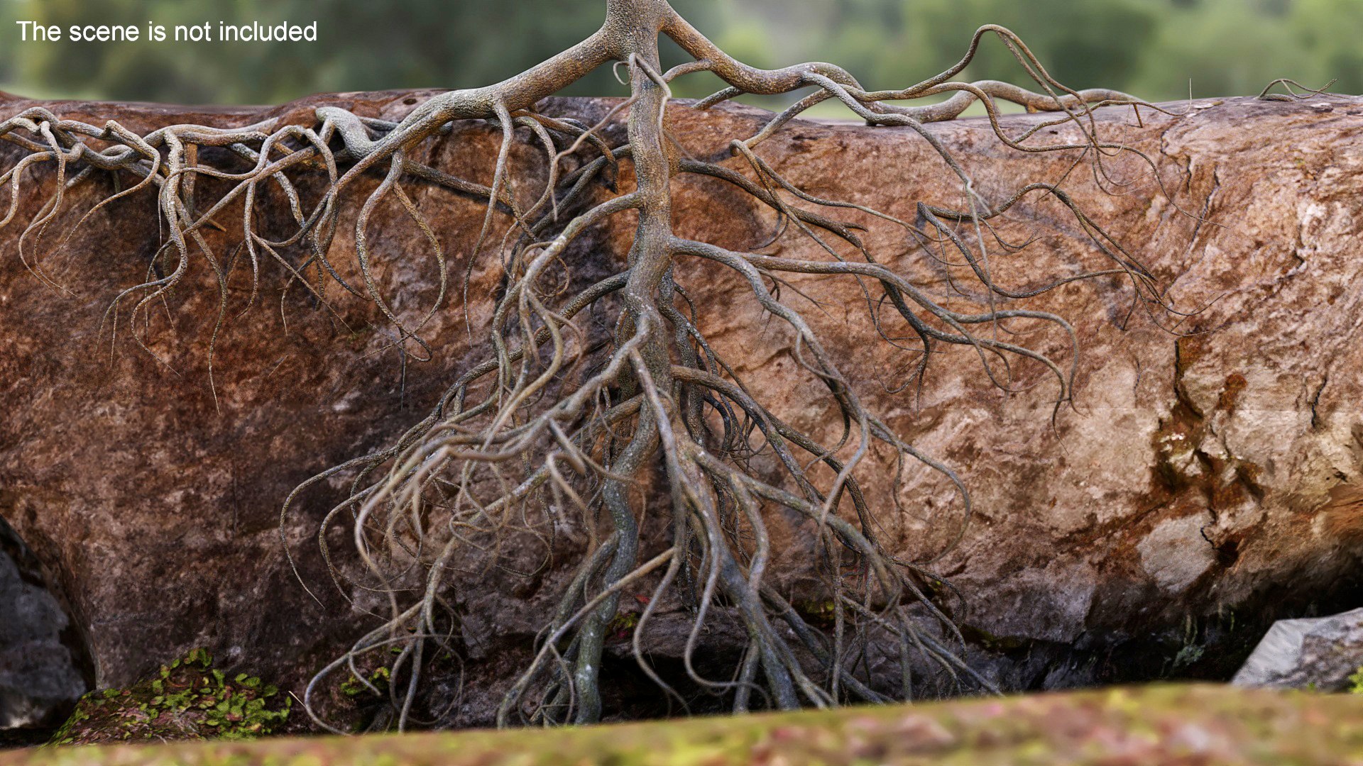 Tree Roots 3D - TurboSquid 2315121
