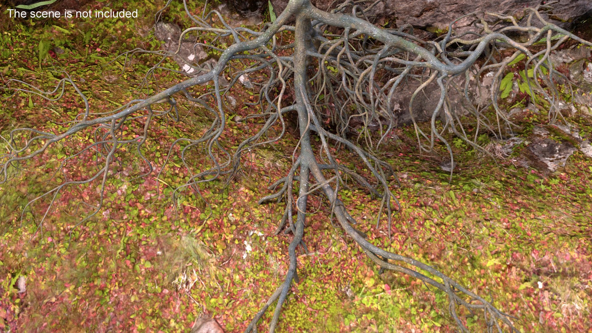 Tree Roots 3D - TurboSquid 2315121