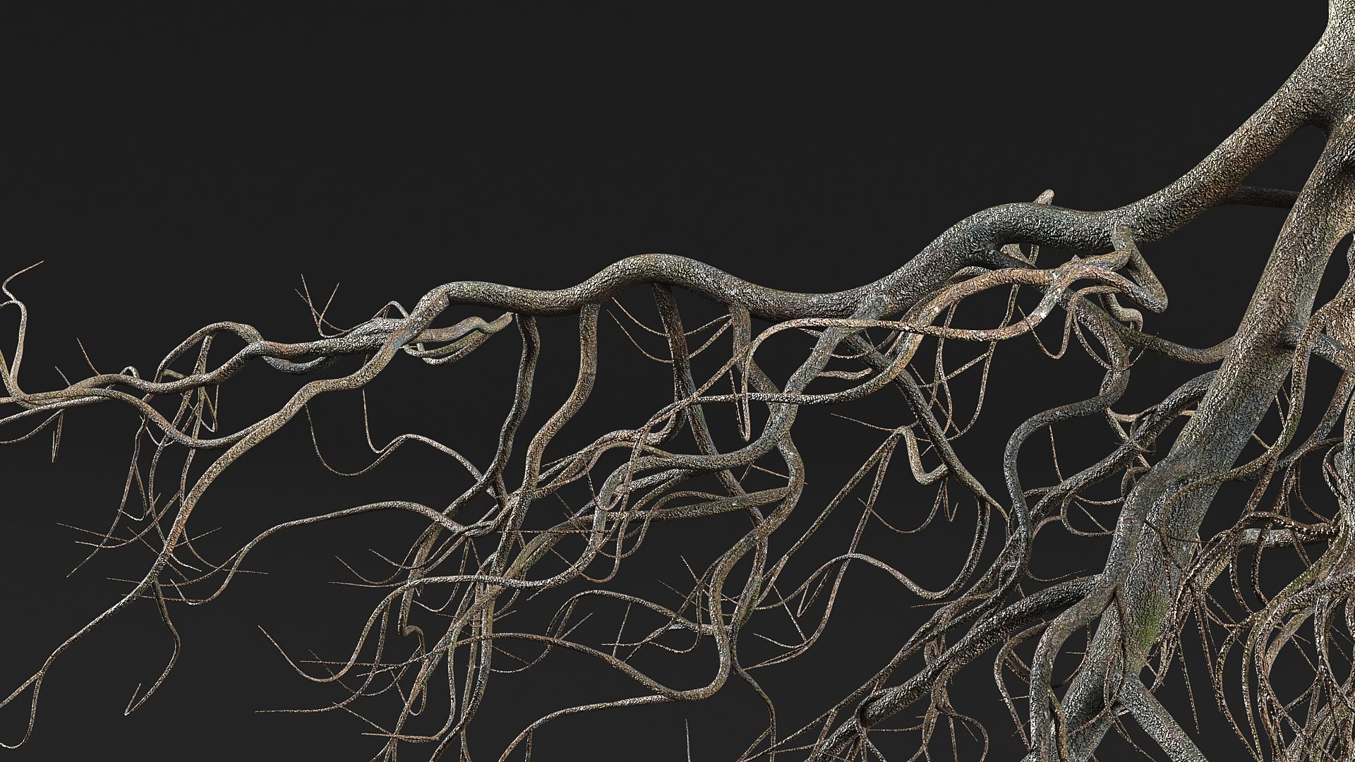 Tree Roots 3D - TurboSquid 2315121