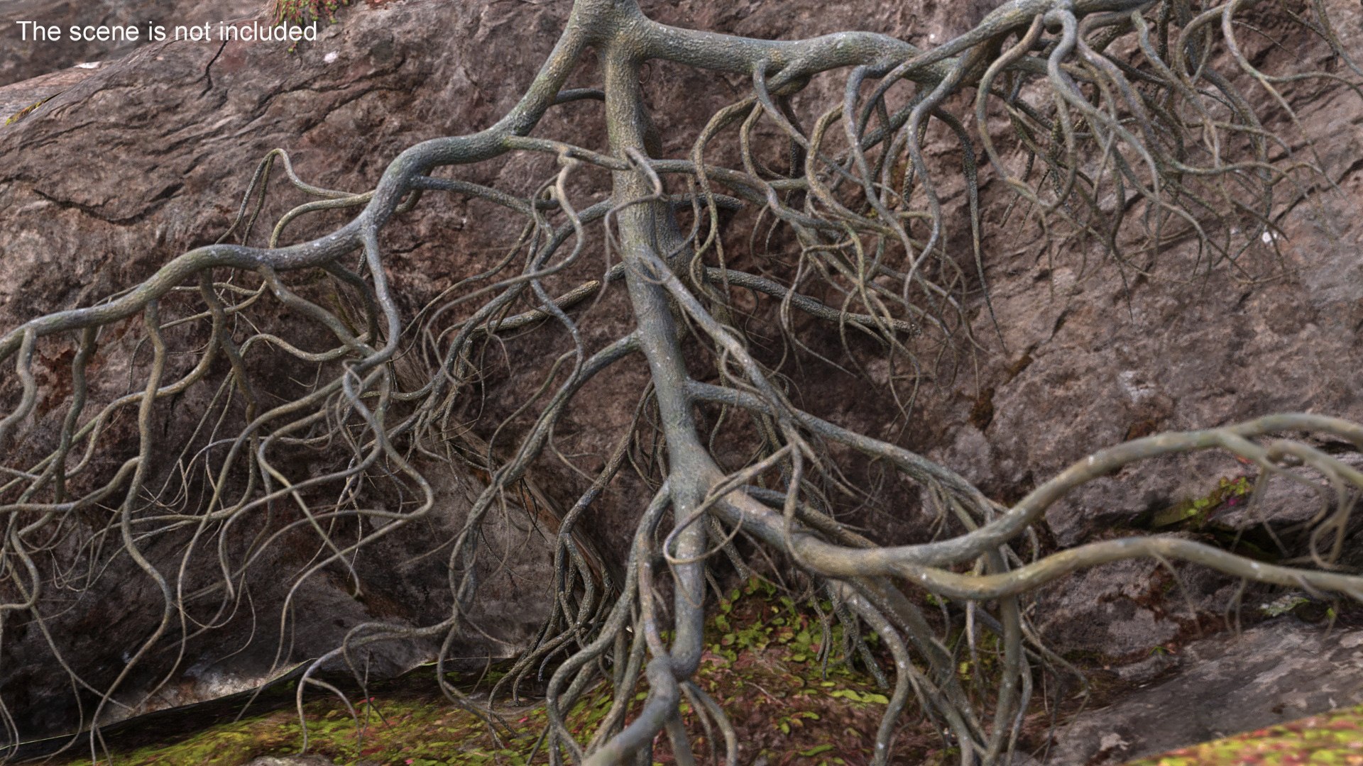 Tree Roots 3D - TurboSquid 2315121