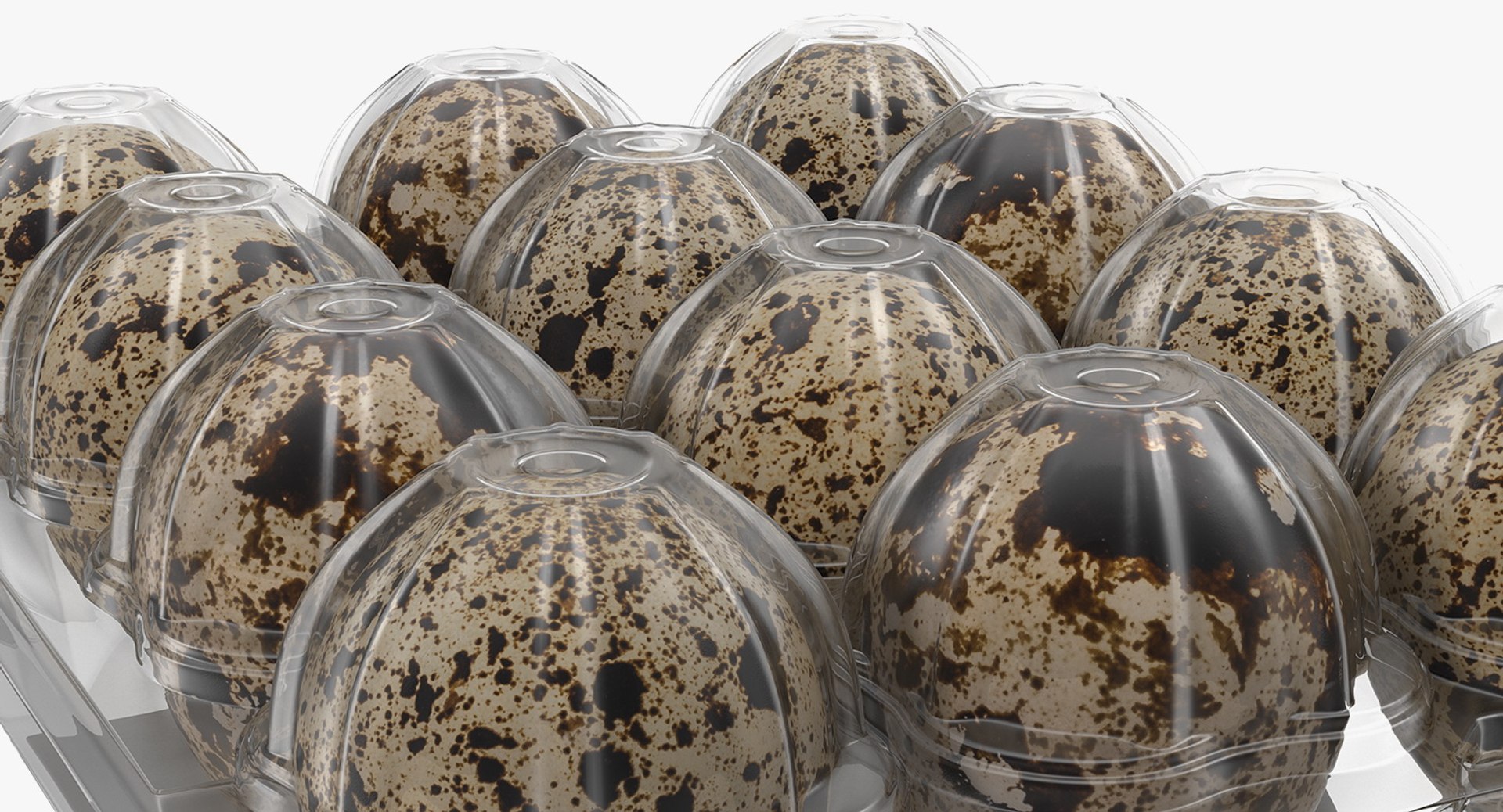 quail eggs plastic box 3D https://p.turbosquid.com/ts-thumb/wX/tJsb3Y/43S0eKia/quaileggsplasticboxc4dmodel011/jpg/1551873662/1920x1080/fit_q87/c53a9d1bfc9e8b3895222a3fb49b022864e5b110/quaileggsplasticboxc4dmodel011.jpg