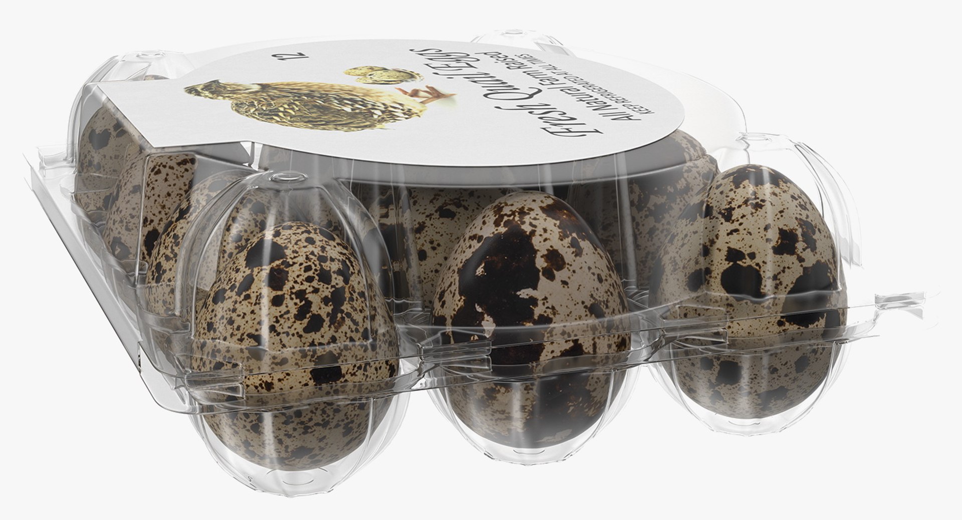 quail eggs plastic box 3D https://p.turbosquid.com/ts-thumb/wX/tJsb3Y/A0aXknel/quaileggsplasticboxc4dmodel008/jpg/1551873649/1920x1080/fit_q87/615c24ee5462e1ba131892a98e26c1ba8b23df81/quaileggsplasticboxc4dmodel008.jpg