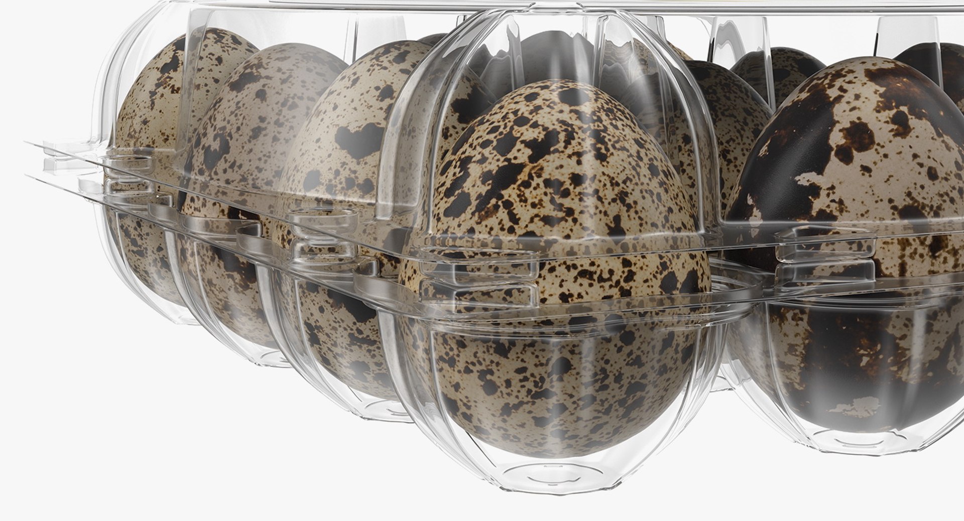 quail eggs plastic box 3D https://p.turbosquid.com/ts-thumb/wX/tJsb3Y/EDaaZxMw/quaileggsplasticboxc4dmodel012/jpg/1551873666/1920x1080/fit_q87/28f2c829b3f0ca62b9a15f0233265294c6d96069/quaileggsplasticboxc4dmodel012.jpg