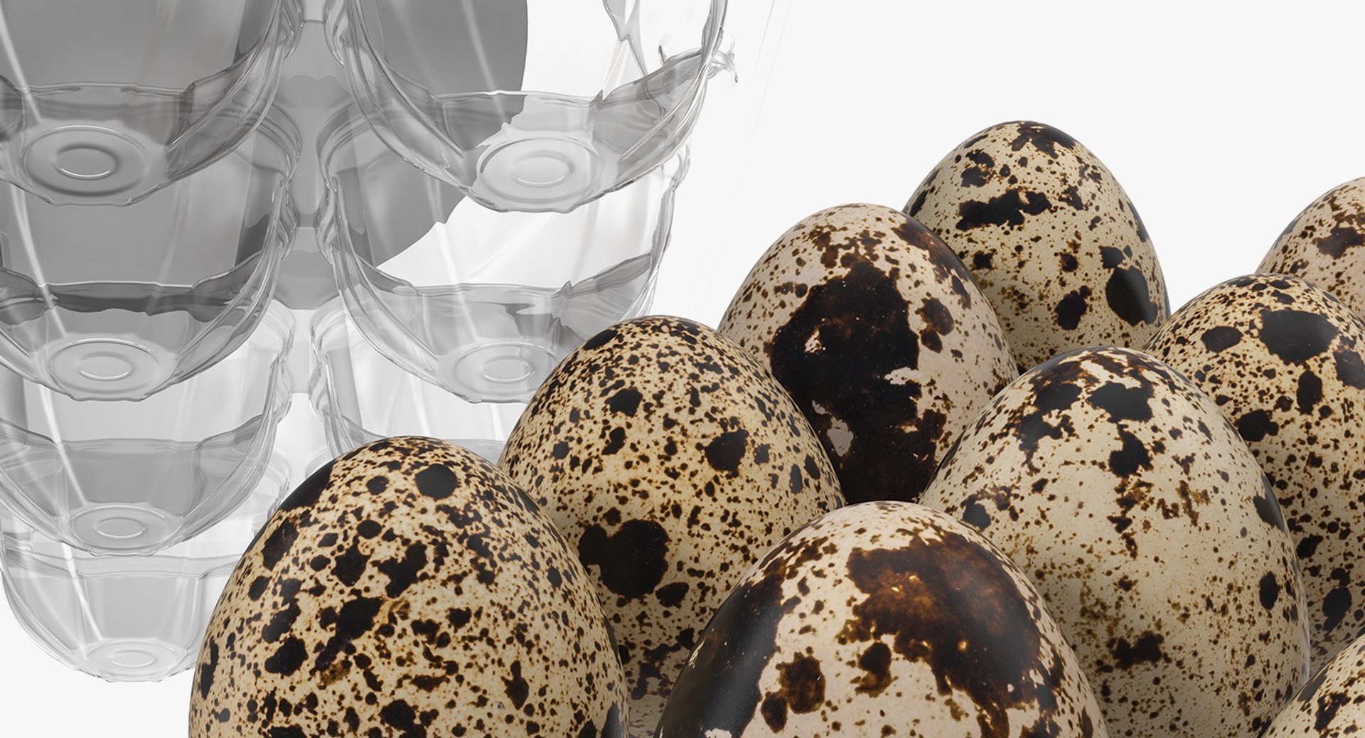 quail eggs plastic box 3D https://p.turbosquid.com/ts-thumb/wX/tJsb3Y/GIz7Pf7d/quaileggsplasticboxc4dmodel014/jpg/1551873673/1920x1080/fit_q87/08268784e30815317153aca01c41c0ba6309ceb0/quaileggsplasticboxc4dmodel014.jpg