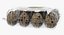 Quail Eggs Plastic Box 3D Model