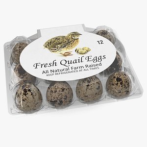 Quail Eggs Plastic Box 3D Model