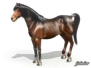 Horse