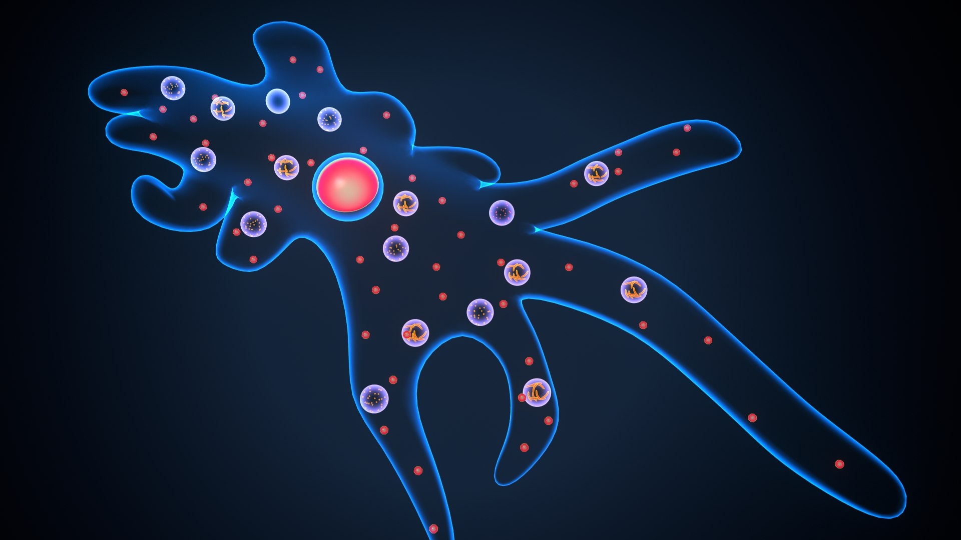 Ameoba 3D Model - TurboSquid 1820652