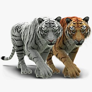 Tigers Fur Rigged Bundle