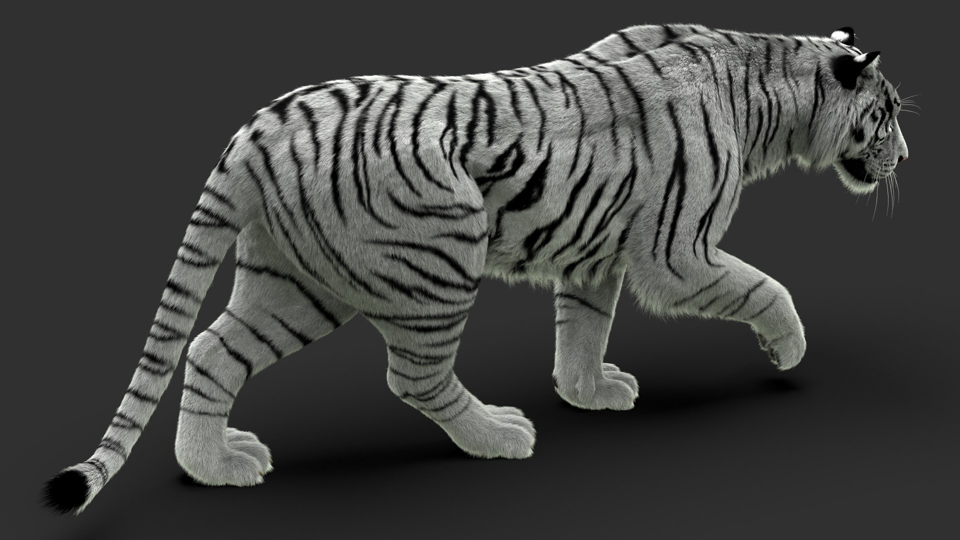 Tigers Fur Rigged Bundle Model - TurboSquid 2374370