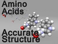 Amino Acids