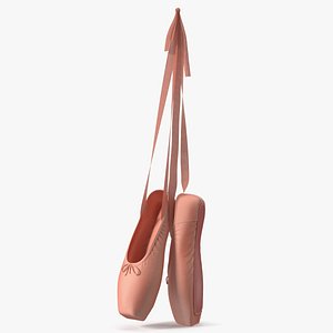 3D Ballet Pointe Shoes with Ribbons
