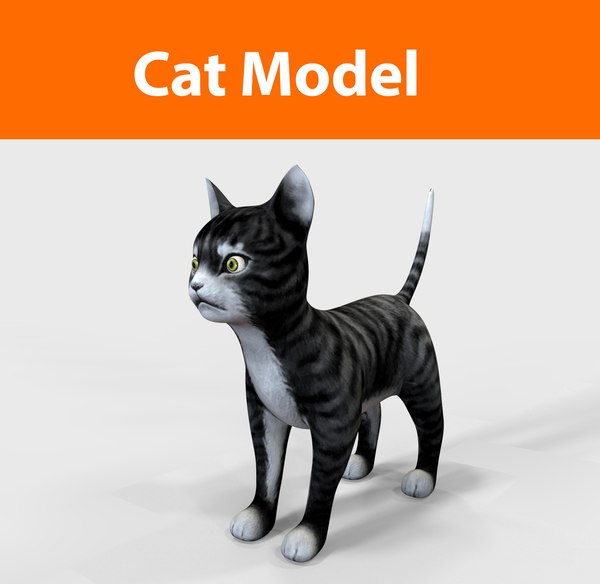 Cartoon cat animation 3D - TurboSquid 1216885