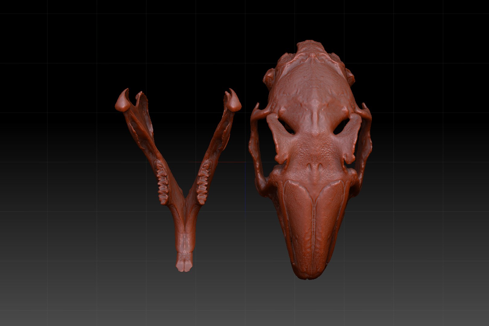 skull rabbit c4d https://p.turbosquid.com/ts-thumb/wY/X3wnJJ/VEYqm8Fc/8/png/1418558804/1920x1080/fit_q87/dcffa837a931b4a3dec7745d8fd5bdf7985e161e/8.jpg