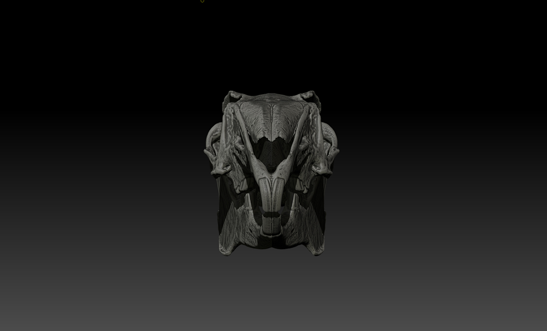 skull rabbit c4d https://p.turbosquid.com/ts-thumb/wY/X3wnJJ/rrB2DMi6/rabbit/jpg/1418558952/1920x1080/turn_fit_q99/2028827133c2e2b9bdefc975d2d4a382ef4bd992/rabbit-1.jpg