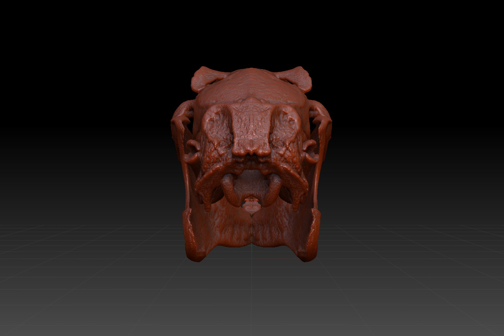 skull rabbit c4d https://p.turbosquid.com/ts-thumb/wY/X3wnJJ/tlVB0WqP/4/png/1418558787/1920x1080/fit_q87/b0b17a2f54dcb8706fe32931bd62b2efcff24119/4.jpg