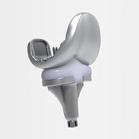 Knee Replacement Implant