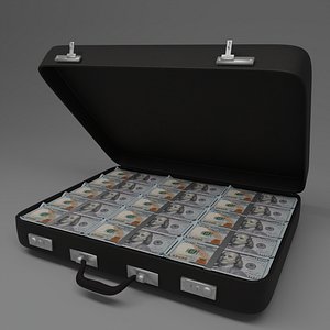 dolar suitcase model