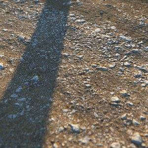 Summer dirt road 25 meters