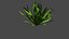 grass 3D model