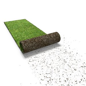 3d model turf roll