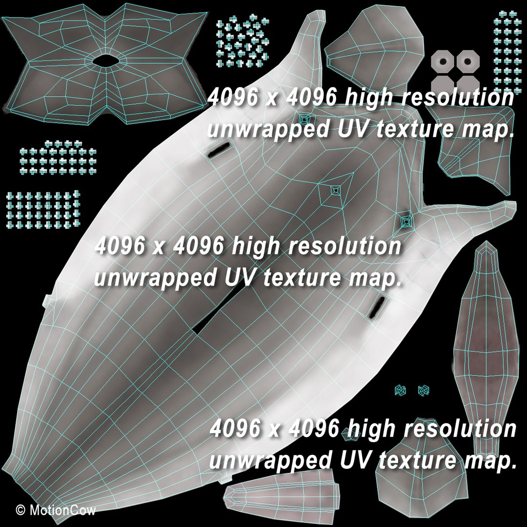 bottlenose dolphin 3d model https://p.turbosquid.com/ts-thumb/wY/vufsL2/quvlgRjk/dolphin_uv/jpg/1352364755/1920x1080/fit_q87/080155e5e989a5ba81cb2fd7fca108eb537d327e/dolphin_uv.jpg