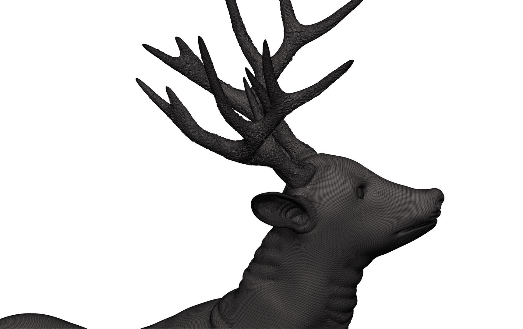 3D Mule Deer Model - TurboSquid 1850436