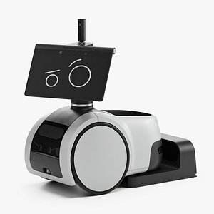 3D Household Robot Wonder Pose