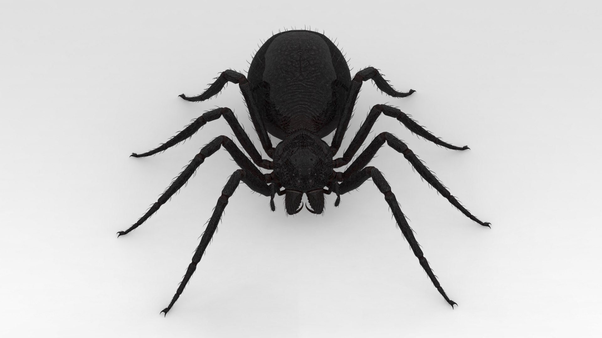3D Giant Spider https://p.turbosquid.com/ts-thumb/wZ/1M5IPS/0n/002/png/1733901082/1920x1080/fit_q87/740bc1e941a3e9c92a93a7d8581feb6088802f8e/002.jpg