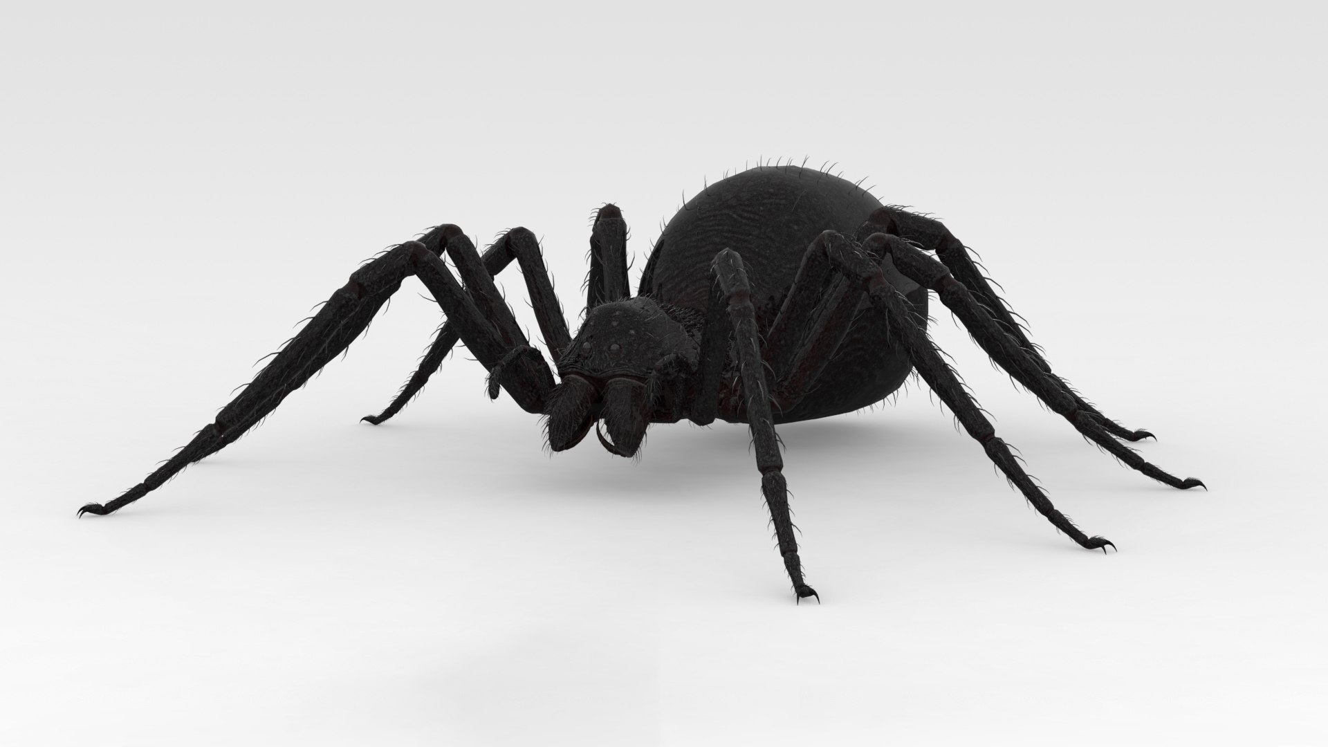 3D Giant Spider https://p.turbosquid.com/ts-thumb/wZ/1M5IPS/8h/003/png/1733901083/1920x1080/fit_q87/98970ac242a545b83a073ae67140b0ec5bb09989/003.jpg