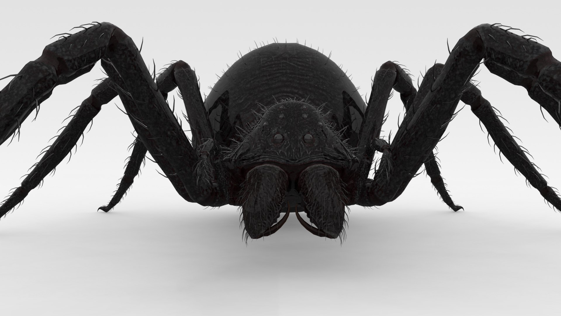 3D Giant Spider https://p.turbosquid.com/ts-thumb/wZ/1M5IPS/DD/007/png/1733901086/1920x1080/fit_q87/d06022a95aa1682f49de958a5a7886399d834513/007.jpg