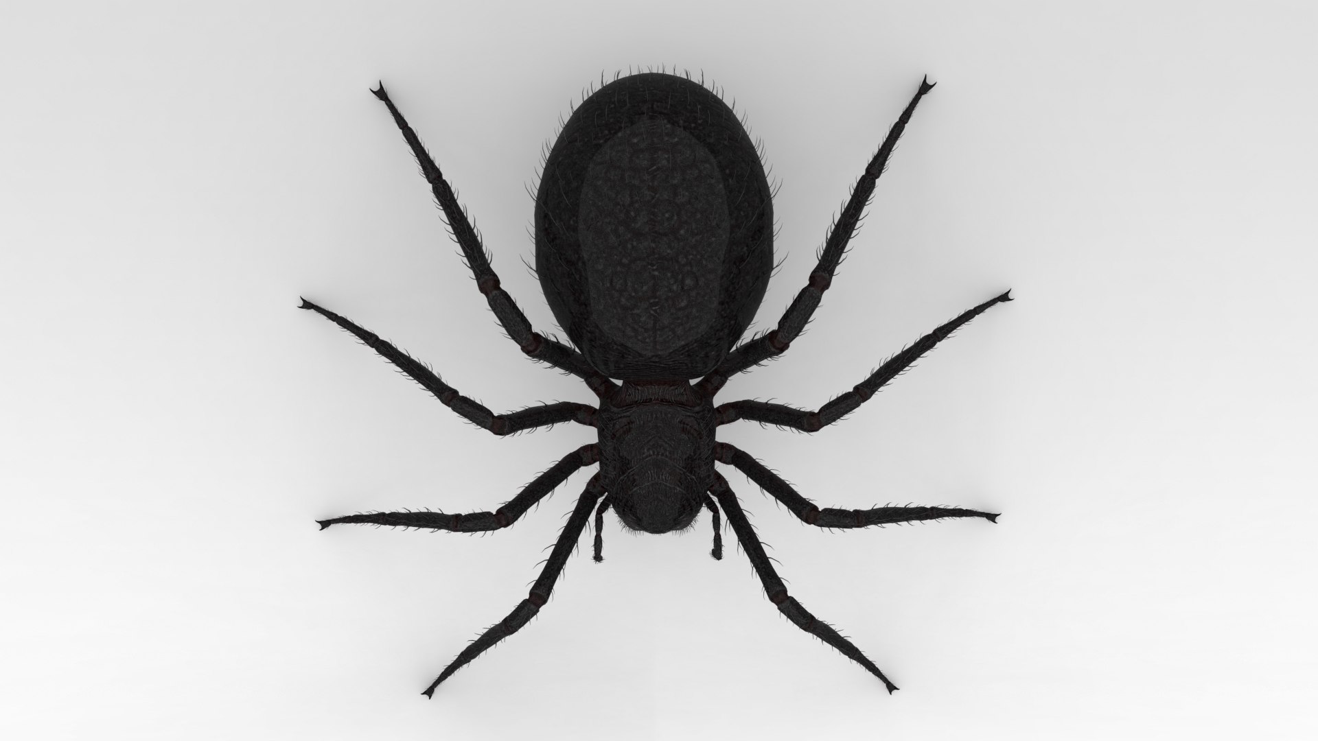 3D Giant Spider https://p.turbosquid.com/ts-thumb/wZ/1M5IPS/G3/008/png/1733901087/1920x1080/fit_q87/a76688a4b22a38ac44747620173dcfadf932e028/008.jpg