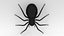 Riesenspinne